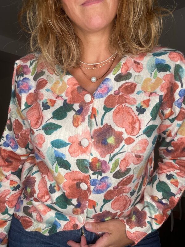 Pull Automne