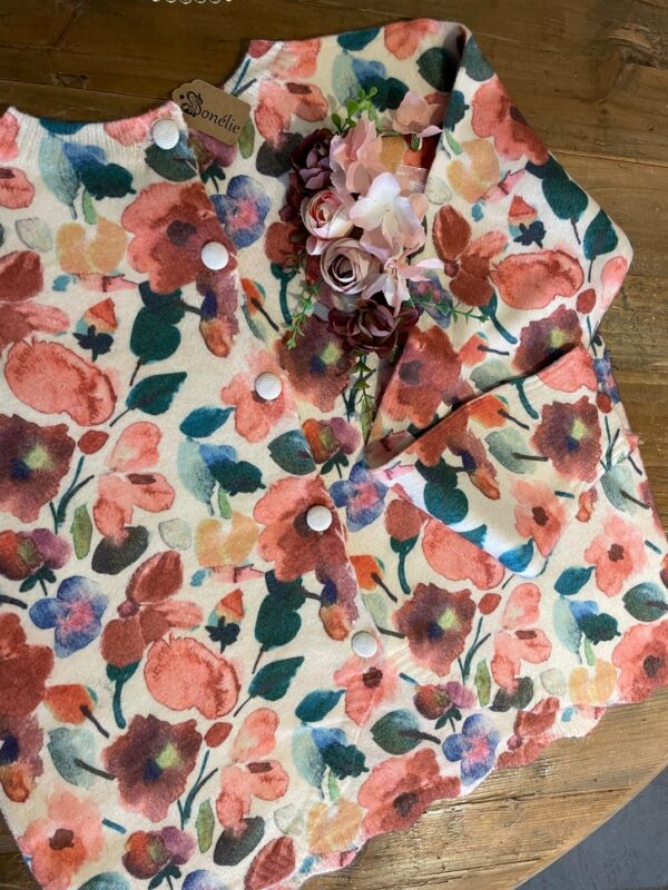 Pull Automne